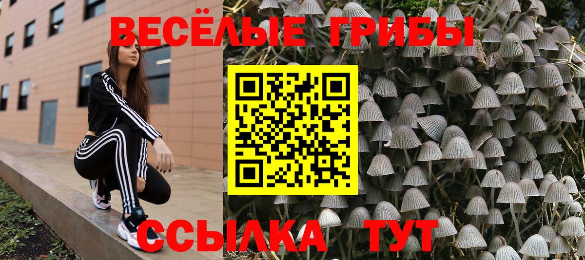 COCAIN  Бошки Шишки  Марихуана  МЕФ   Вход с VPN  A PVP СОЛЬ   Гашиш  Экстази  Екатеринбург  Гашиш 