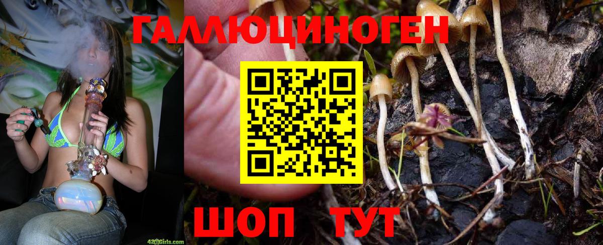 Галлюциногенные грибы мухоморы Екатеринбург